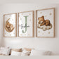 Teddy Bear Nursery Wall Art Set - Personalized